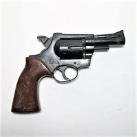 RG 38 Special Revolver