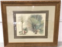 Gilt Framed Print On Paper