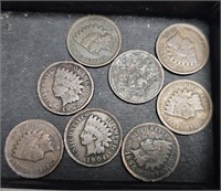 8 Indian Head Pennies