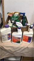 Group of lawn care items