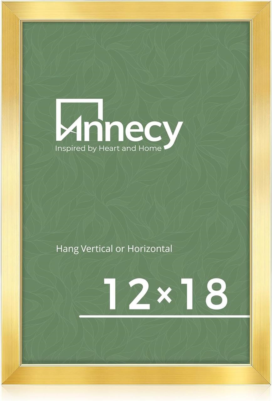 Annecy 12x18 Picture Frame Gold (1 Pack)
