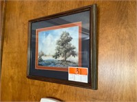 Pastoral Framed Print