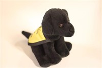 CNIB Puppy - Black Lab with Yellow Vest