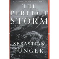 Perfect Storm