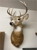 Deer mount