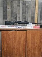 gamo swarm 10X whisper air rifle (lobby)