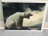 Poster of a roaring polar bear    (700)