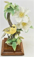Royal Worcester Dorothy Doughty Hooded Warbler F