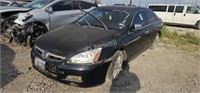 2007 Hond Accord 1HGCM66517A058941