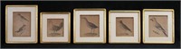 5 Watercolors of Birds