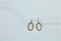 Pair of Long Hook Oval Earrings