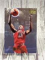 Dennis Rodman season premium Chicago Bulls card