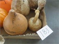 decorator gourds, pumpkins