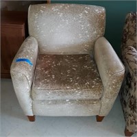Tan Chair, Stain on Cushion