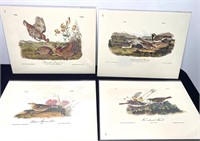 J.Audubon Prints