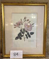 Vintage blush damask rose botanical wall art