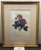 Cardinal Rose botanical wall art; 18x22