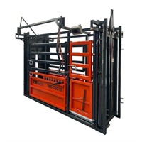 TMG-CSC10 10' Cattle Work Chute w/ Scale