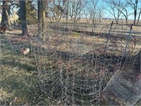 LARGE GROUP OF MEDIUM SIZED TOMATOE CAGES