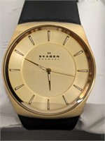 SKAGEN MENS WATCH