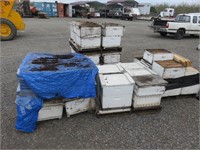 Assorted Bee Boxes