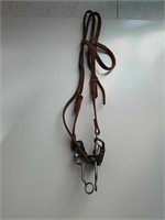 Equestrian Bridle