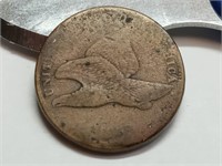 OF) Flying eagle cent