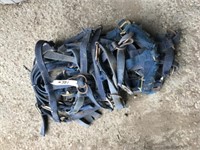 10 Used Blue Horse Halters