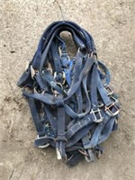 10 Used Blue Horse Halters