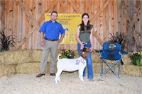 Hickory Springs Farm Club Goat (Doeling) RES CHAMP