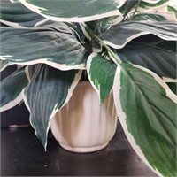 Faux Plant In Cali. Pottery Pot