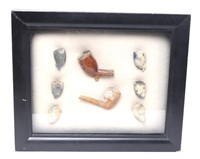 Collection of framed Shipwreck Clay Pipes