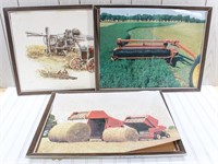 3 pc Framed Implement Posters