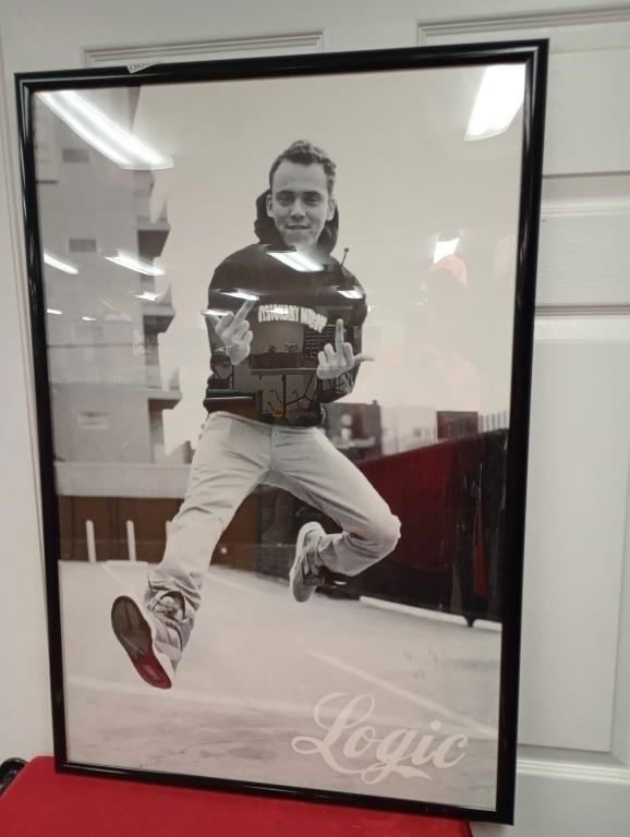 Logic print 37 x 25