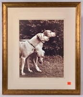 Dog photo by Janet Hitchen, 19" x 21.5" gold