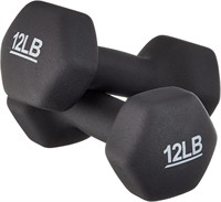 NEW $60 Hexagon Workout Dumbbell,2X12LBS