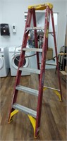 WERNER 6 Ft Aluminum Ladder