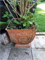 Plastic Planter with Plant