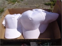4 - WHITE HATS