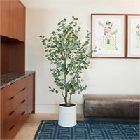 $240 - Faux 1.9 m (6.5 ft.) Eucalyptus Tree with P