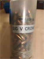 9mm Cartridges in Plastic Case