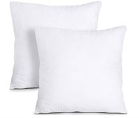 Throw Pillows Insert Pack of 2 - 22 x 22 Inches