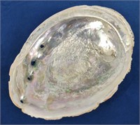 Natural Mother of Pearl Clam Half Shell