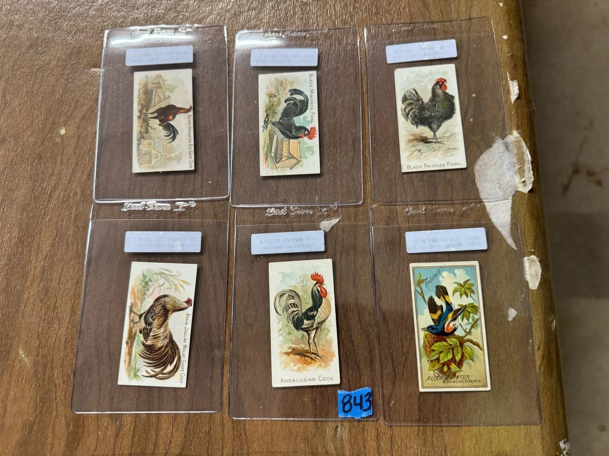 (6) Allen & Ginter 1891-Birds