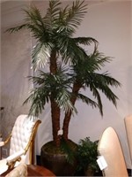 Triple Palm Phoenix w/ Planter