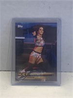 2018 Topps WWE Then Now Forever: Bronze
#118