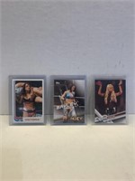 - 2007 Topps Heritage III WWE #69 Victoria
 -