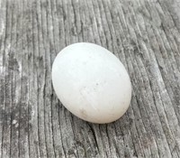 1 Dozen-Hatching Eggs-WHITE RUNNER DUCKS