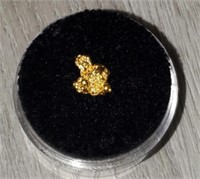 Gold Nugget #6