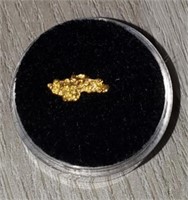 Gold Nugget #7